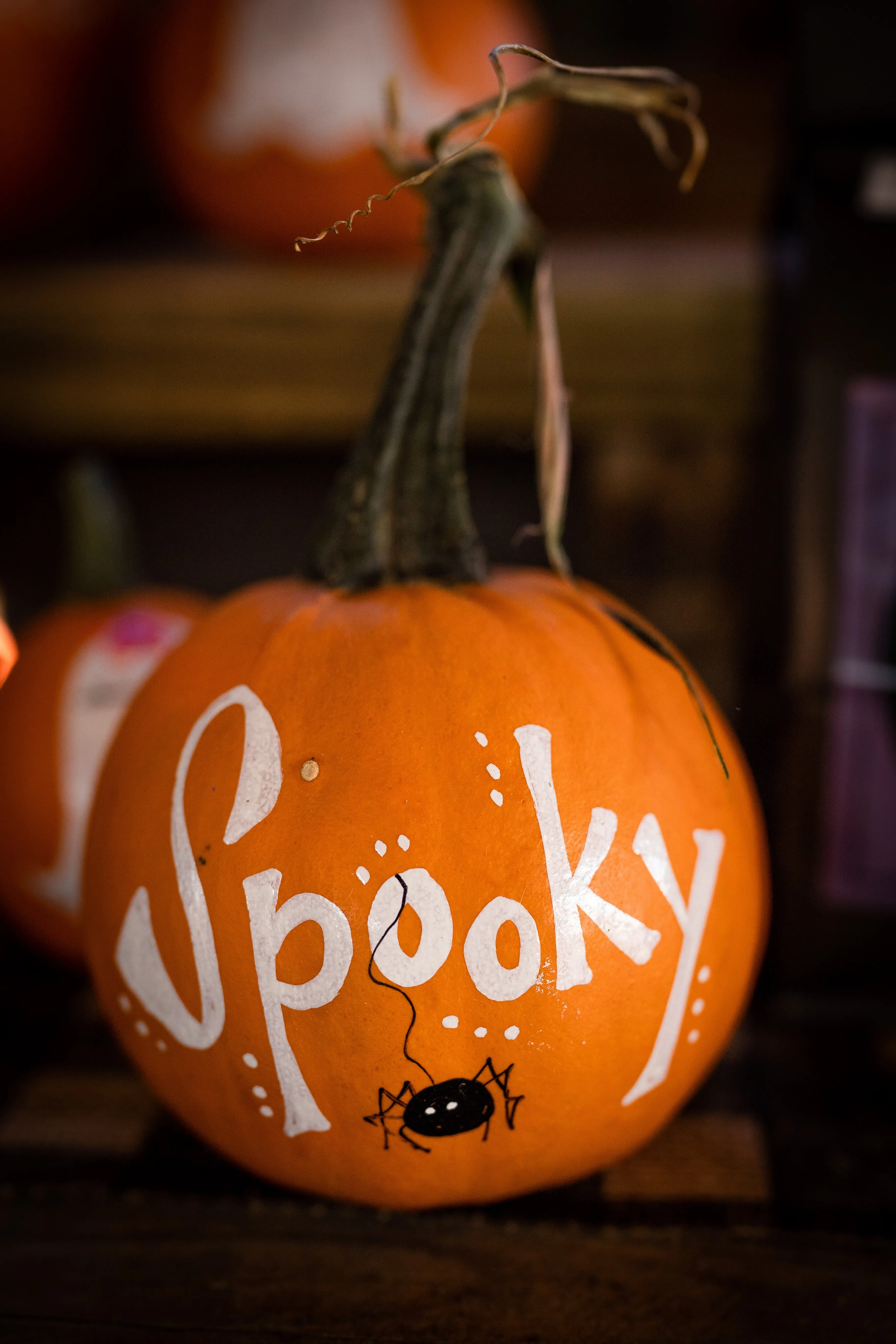 Måla Hallowenpumpa